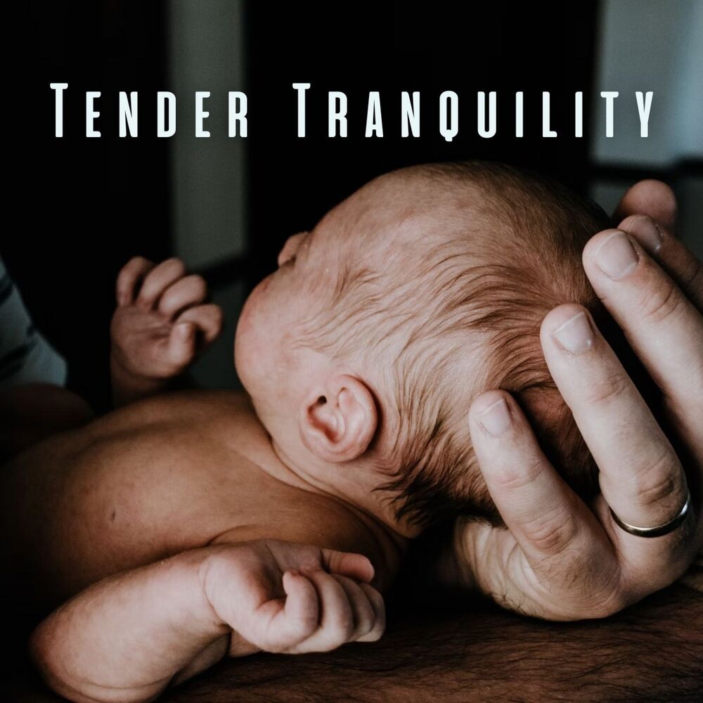 Picture of Tender Tranquility: Meditative Sounds for Soothing Babies