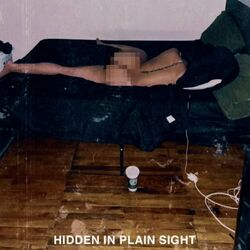 Cover of Hidden in Plain Sight