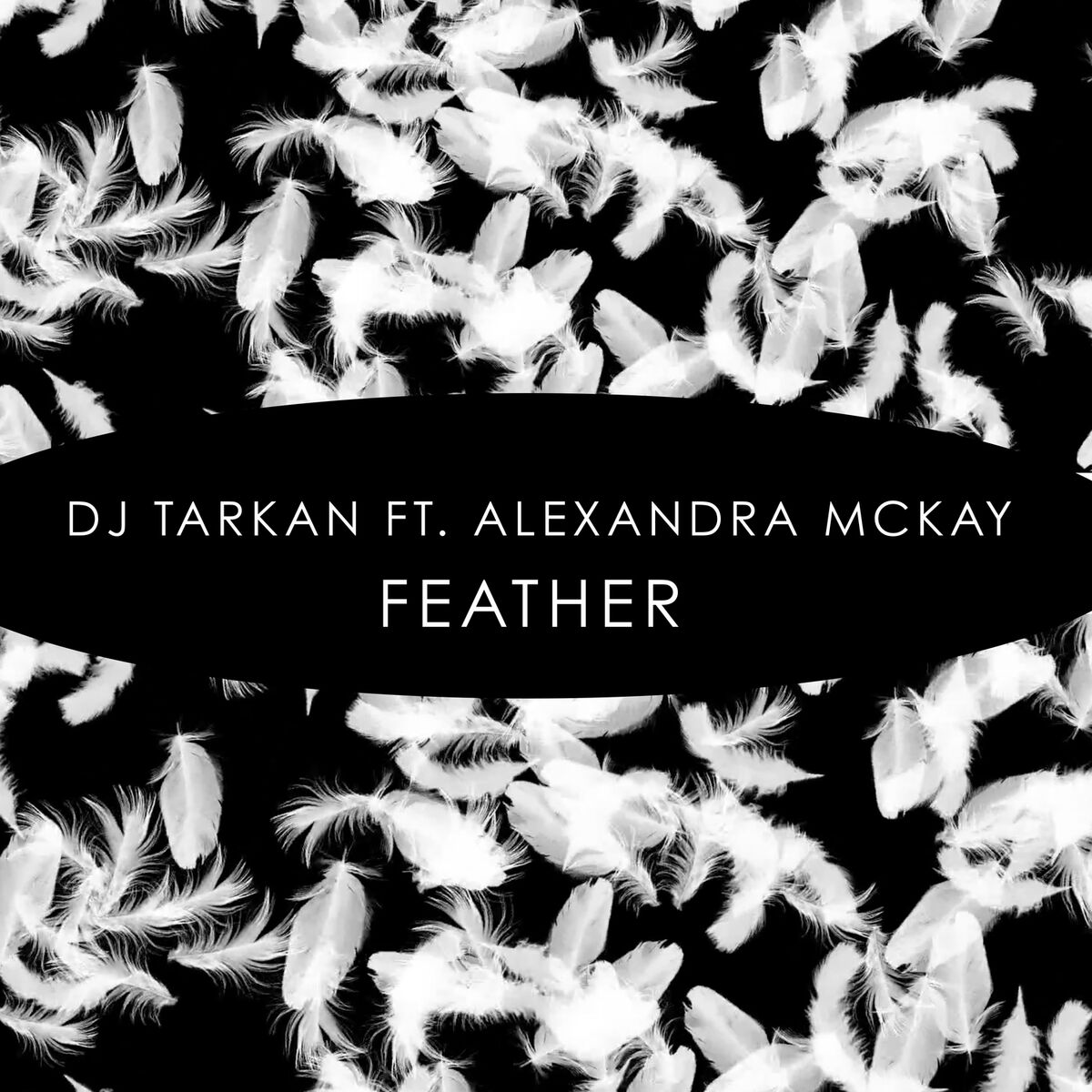 Album cover of Feather