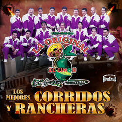 Cover of Los Mejores Corridos y Rancheras