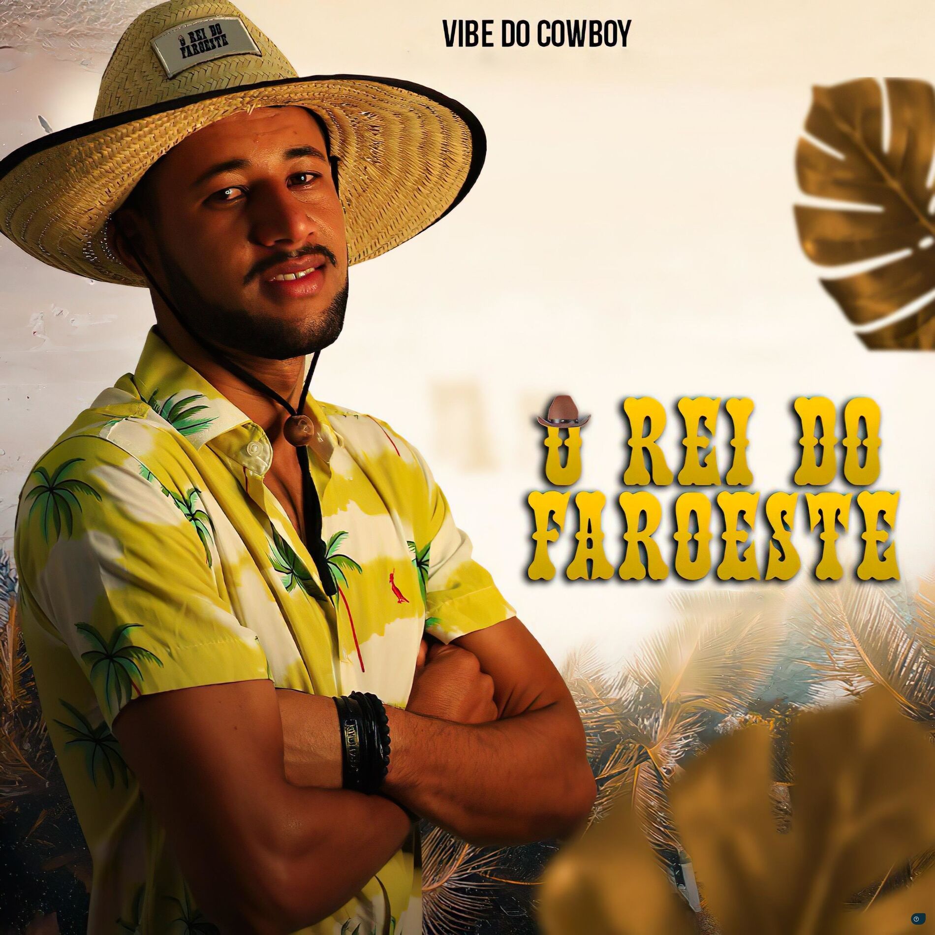 Album cover of Vibe do Cowboy