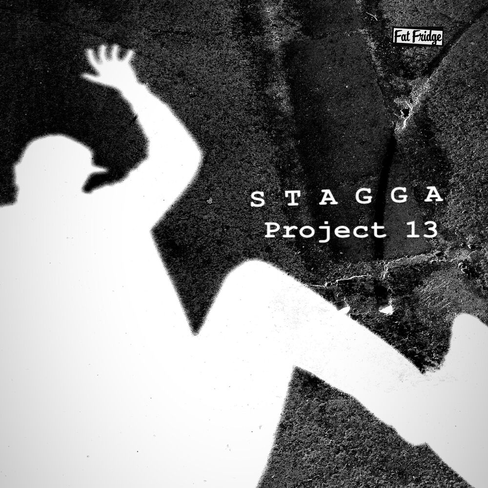 Picture of Project 13