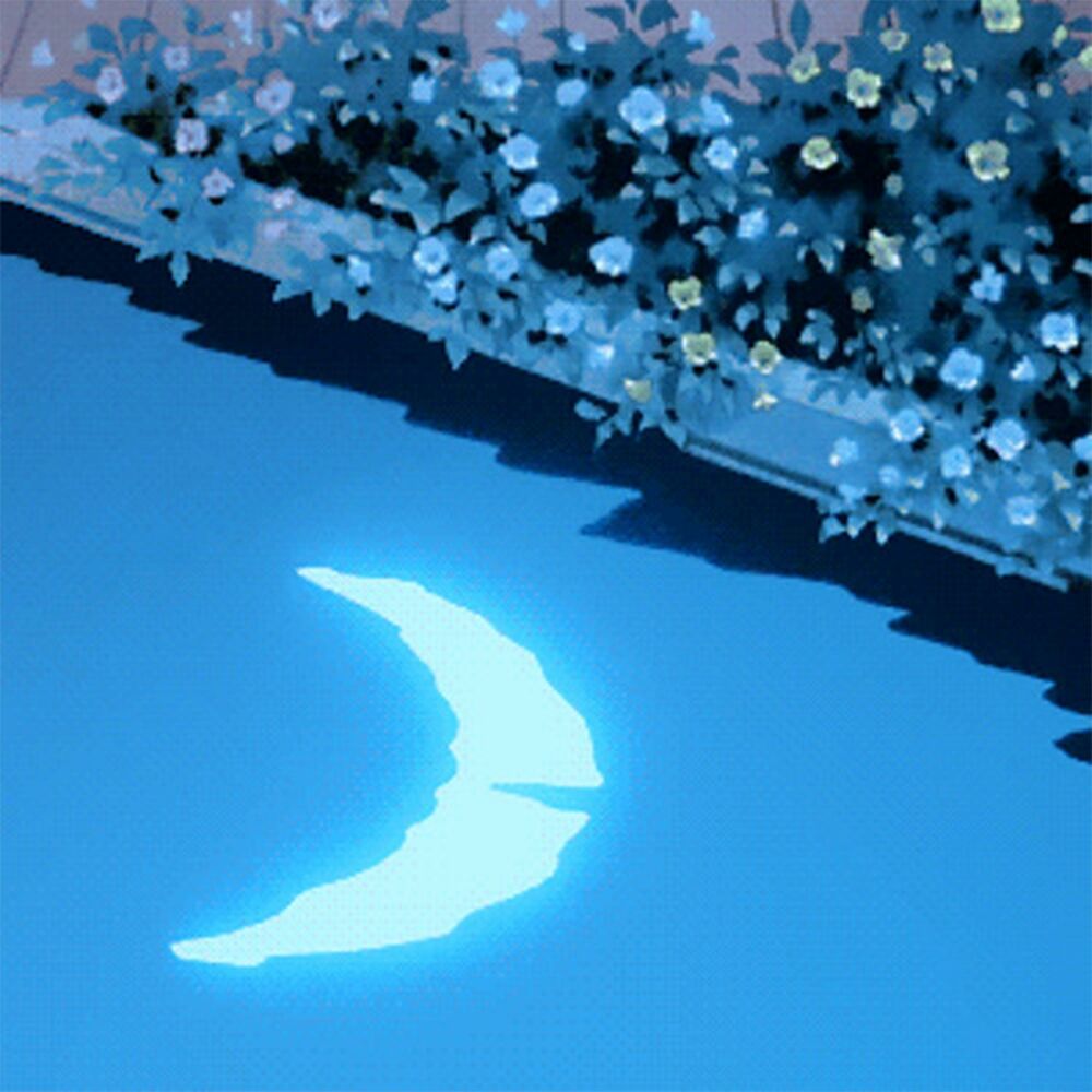 Picture of Moonlight and Blueberries