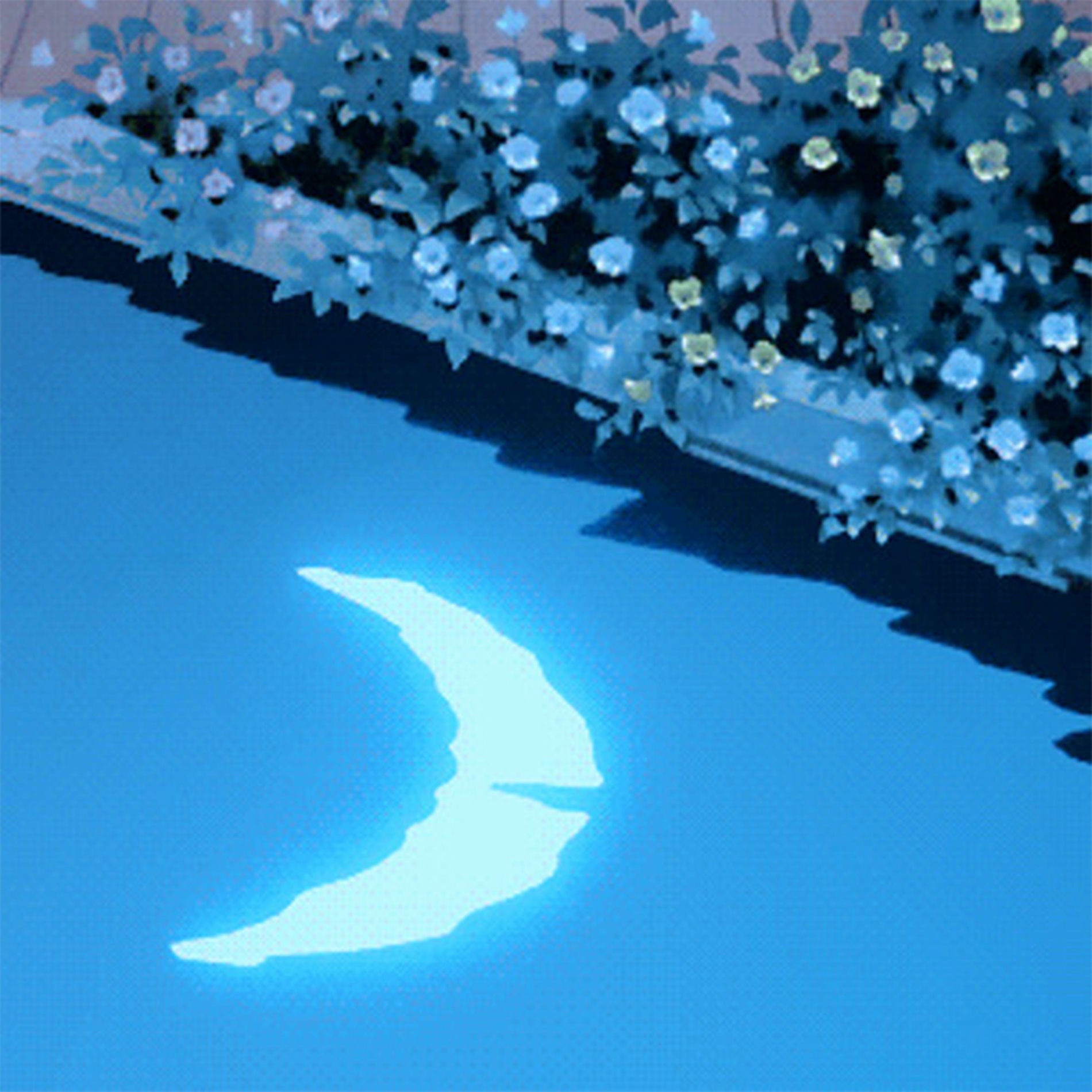 Album picture of Moonlight and Blueberries