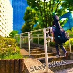 Cover of Stay alive