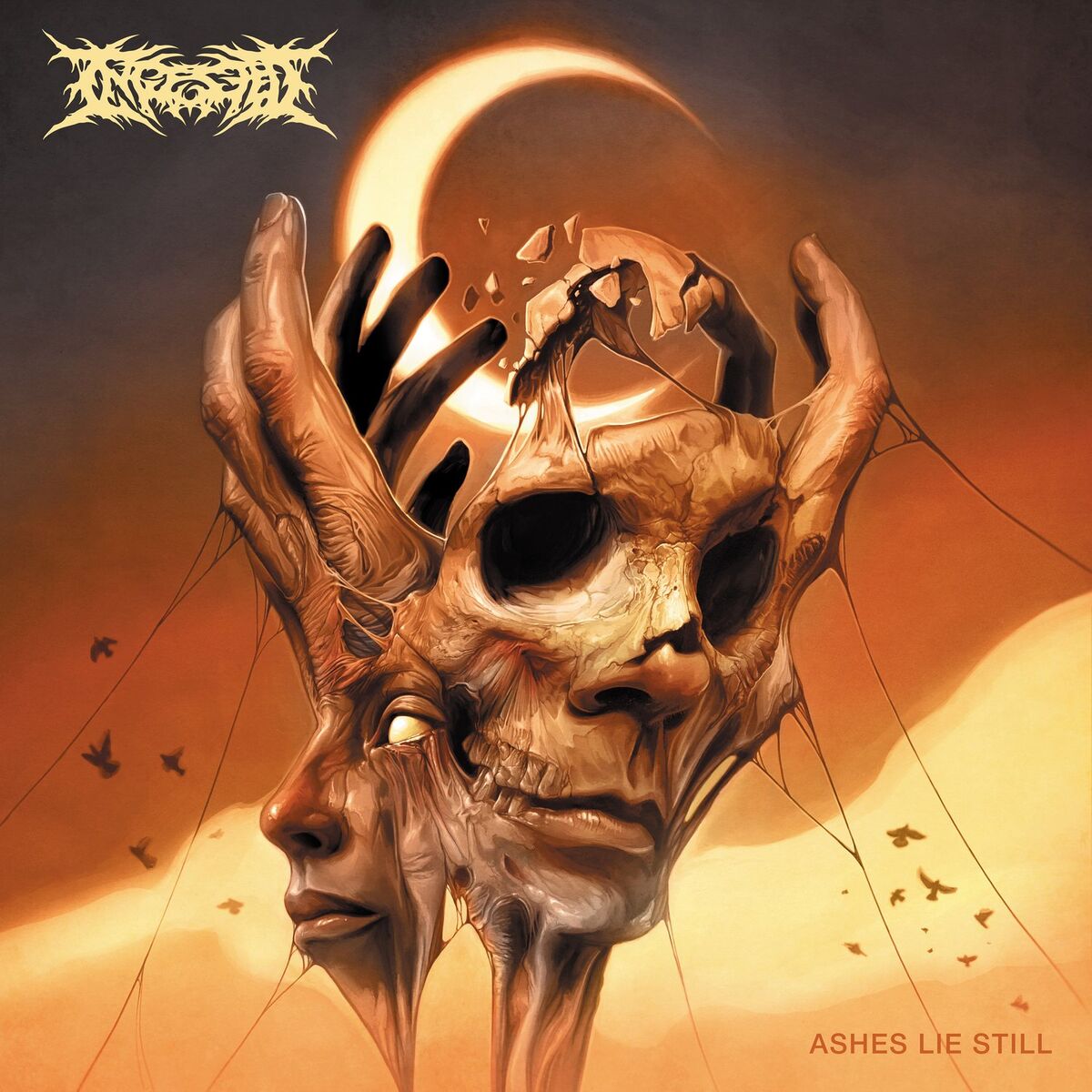 Album cover of Ashes Lie Still