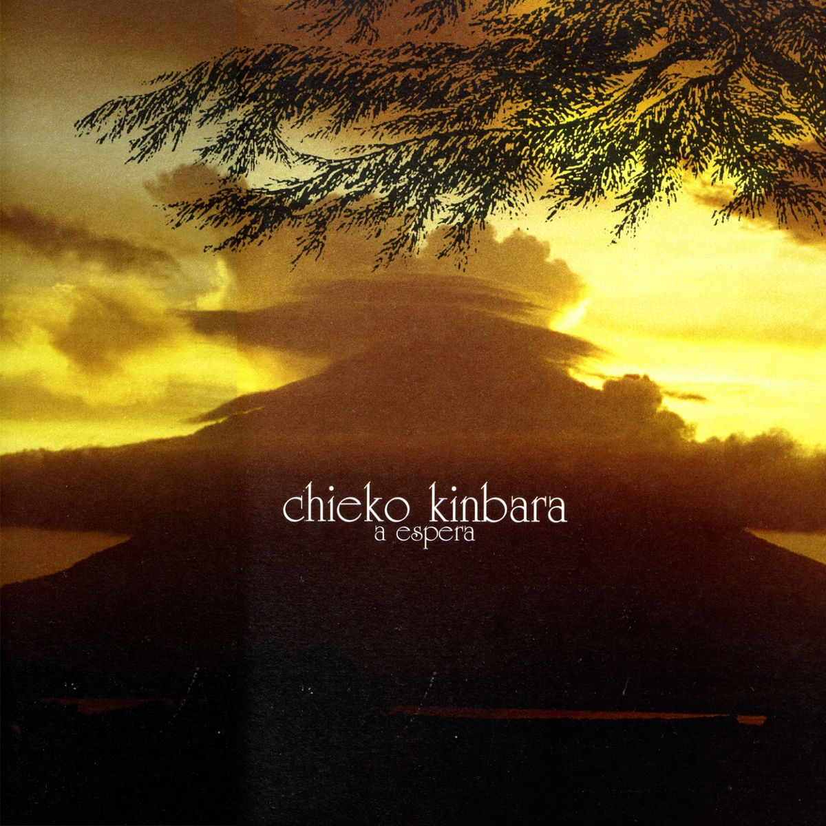 その他 Sunaga t experience DIGS CHIEKO KINBARA~CHIEKO KINBARA JAZZ REMIXIES [CD] Chieko Kinbara: albums, songs, concerts | Deezer