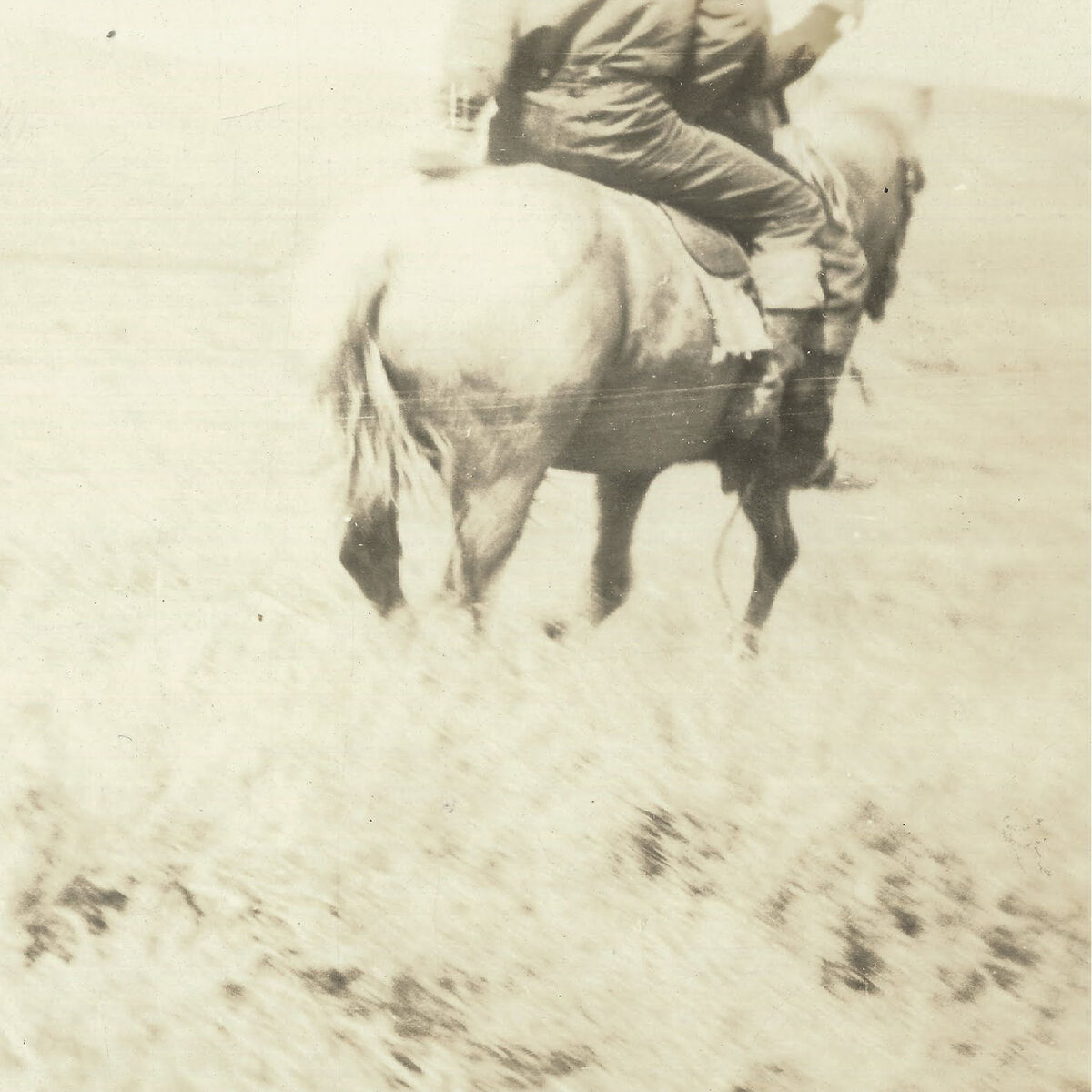 Album cover of The Hired Hand (Original Motion Picture Soundtrack)
