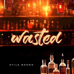 Cover of Wasted