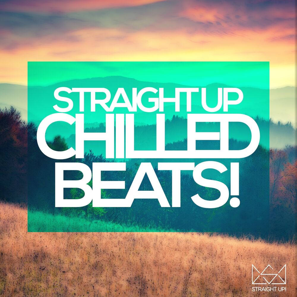 Picture of Straight Up Chilled Beats!