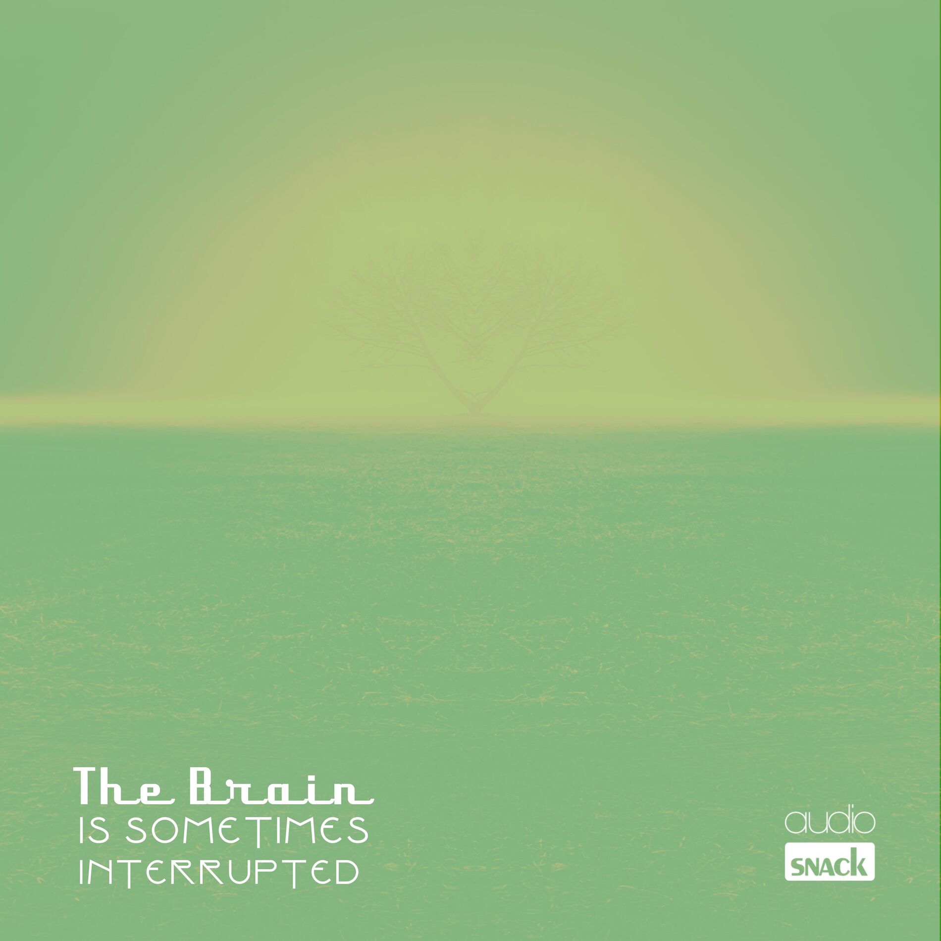 Album cover of The Brain is Sometimes Interrupted