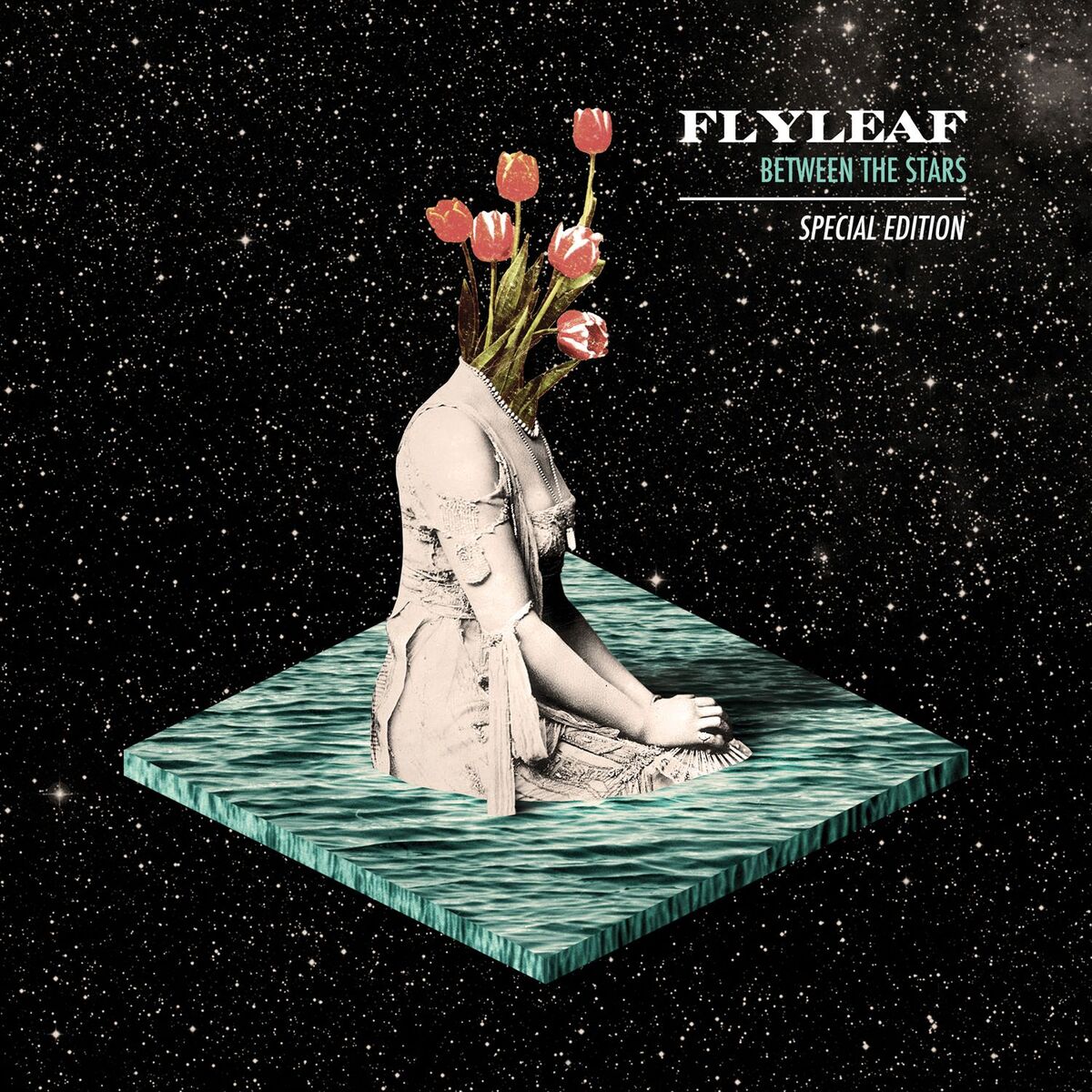 Album cover of Set Me On Fire