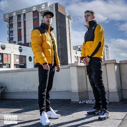 Cover of Non fare il G