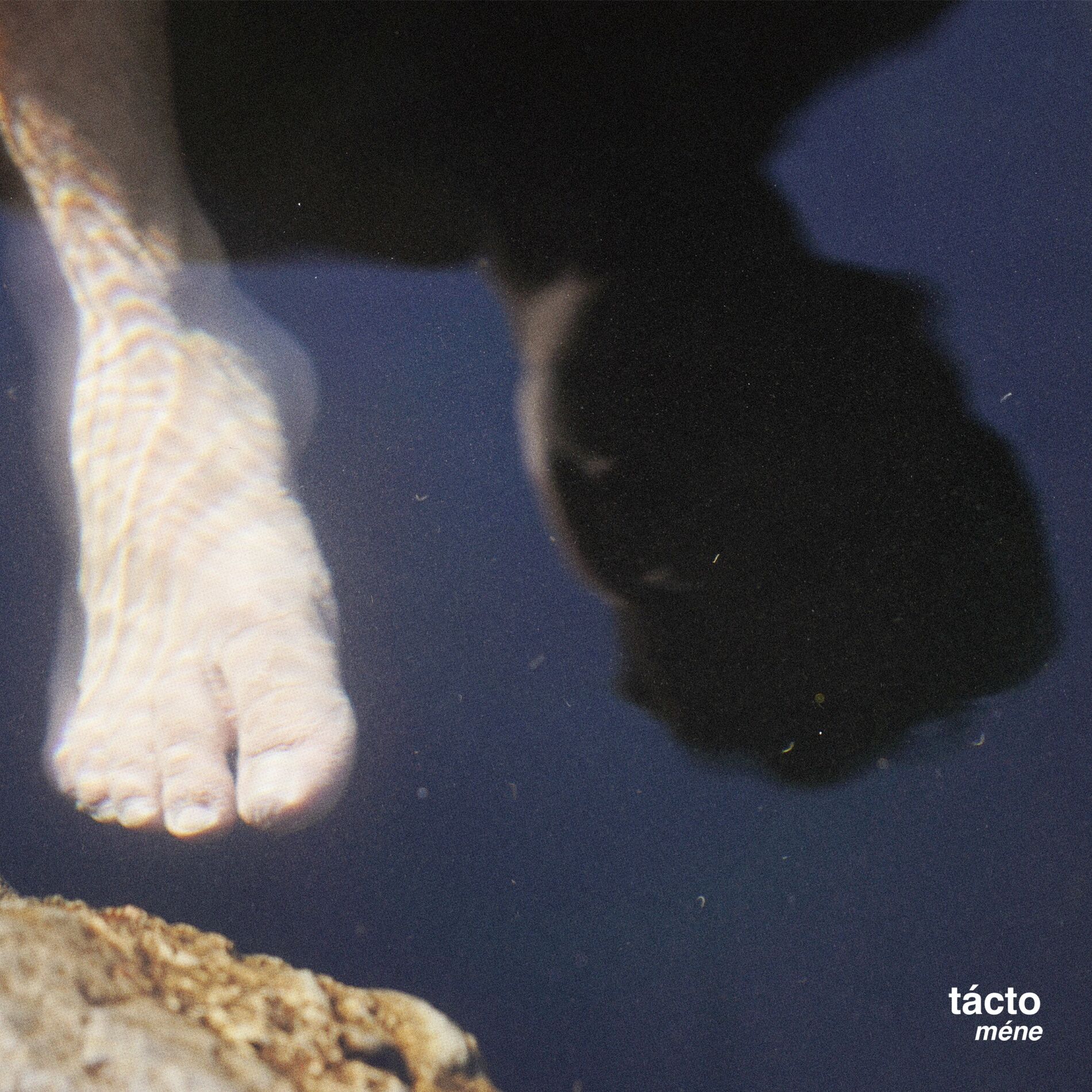 Album cover of Tácto