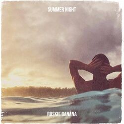 Cover of Summer Night