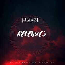 Cover of Revenues