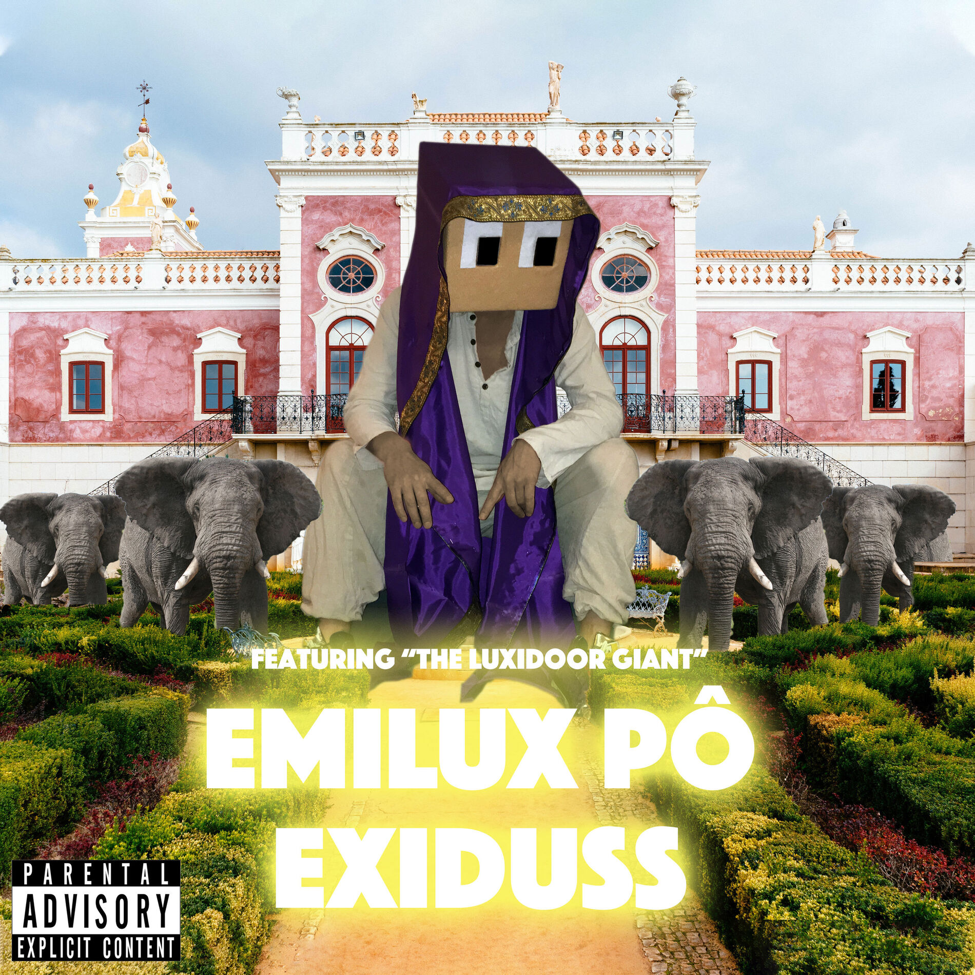 Album cover of Emilux Pô Exiduss