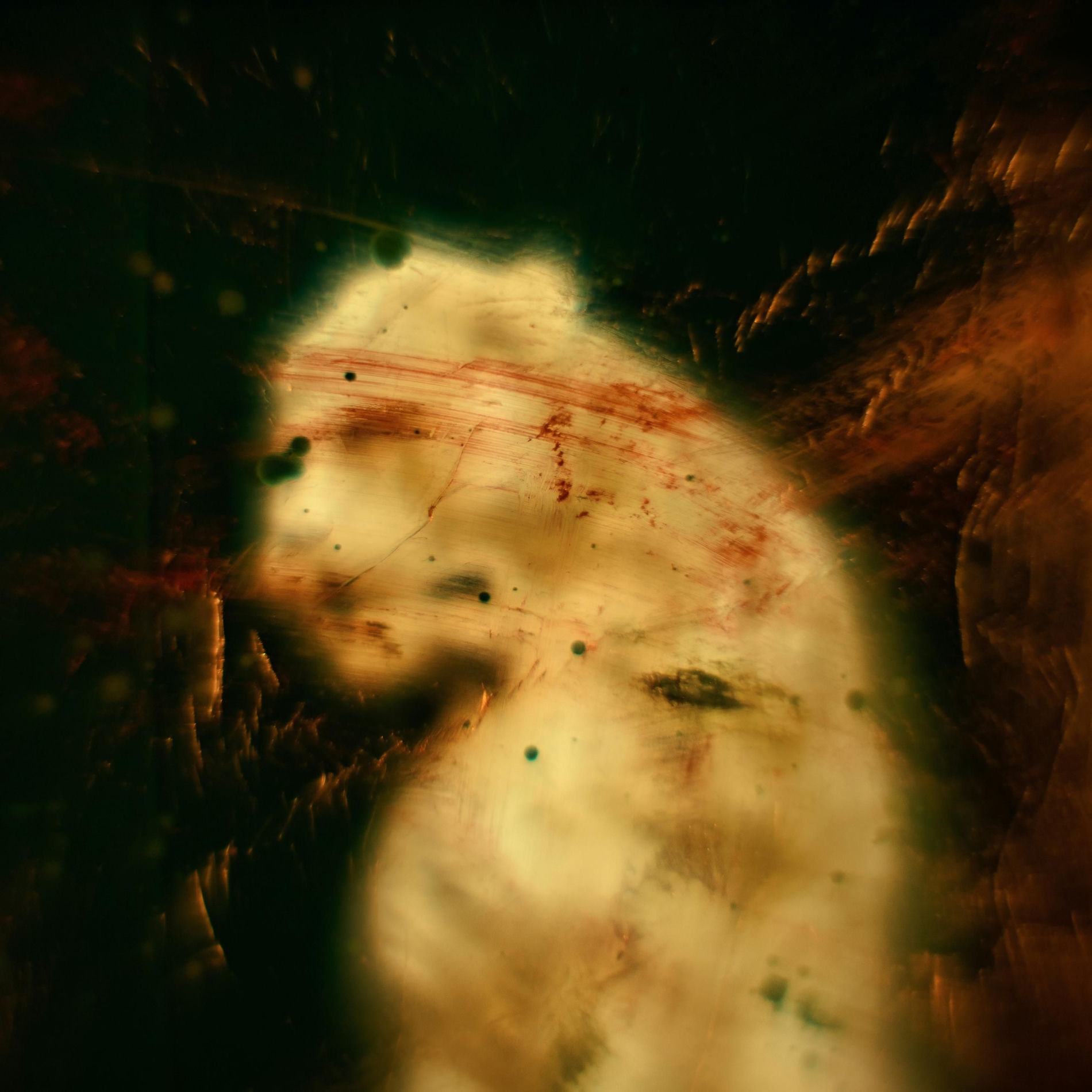 Album cover of Ritual of the Void