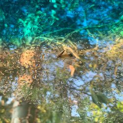 Cover of There is a moth stuck on the windshield
