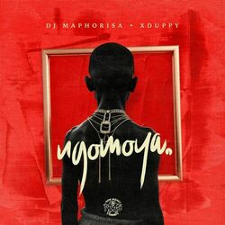 Cover of NGOMOYA