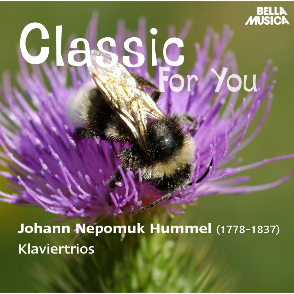 Picture of Classic for You: Hummel: Klaviertrios, Op. 12, Op. 22, Op. 35, Op. 65