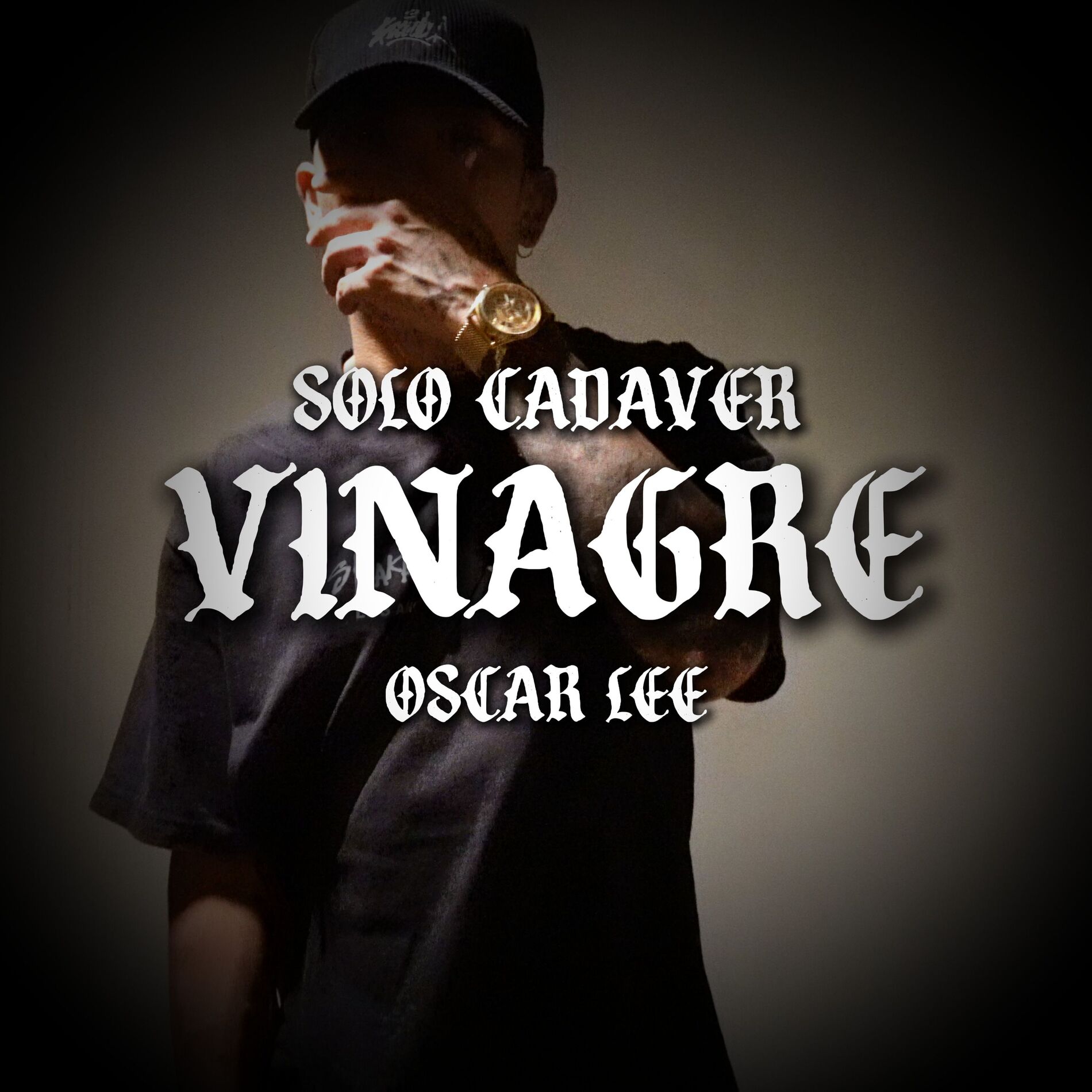 Album cover of Vinagre