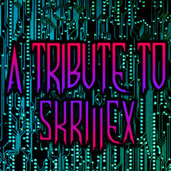 Cover of A Tribute to Skrillex
