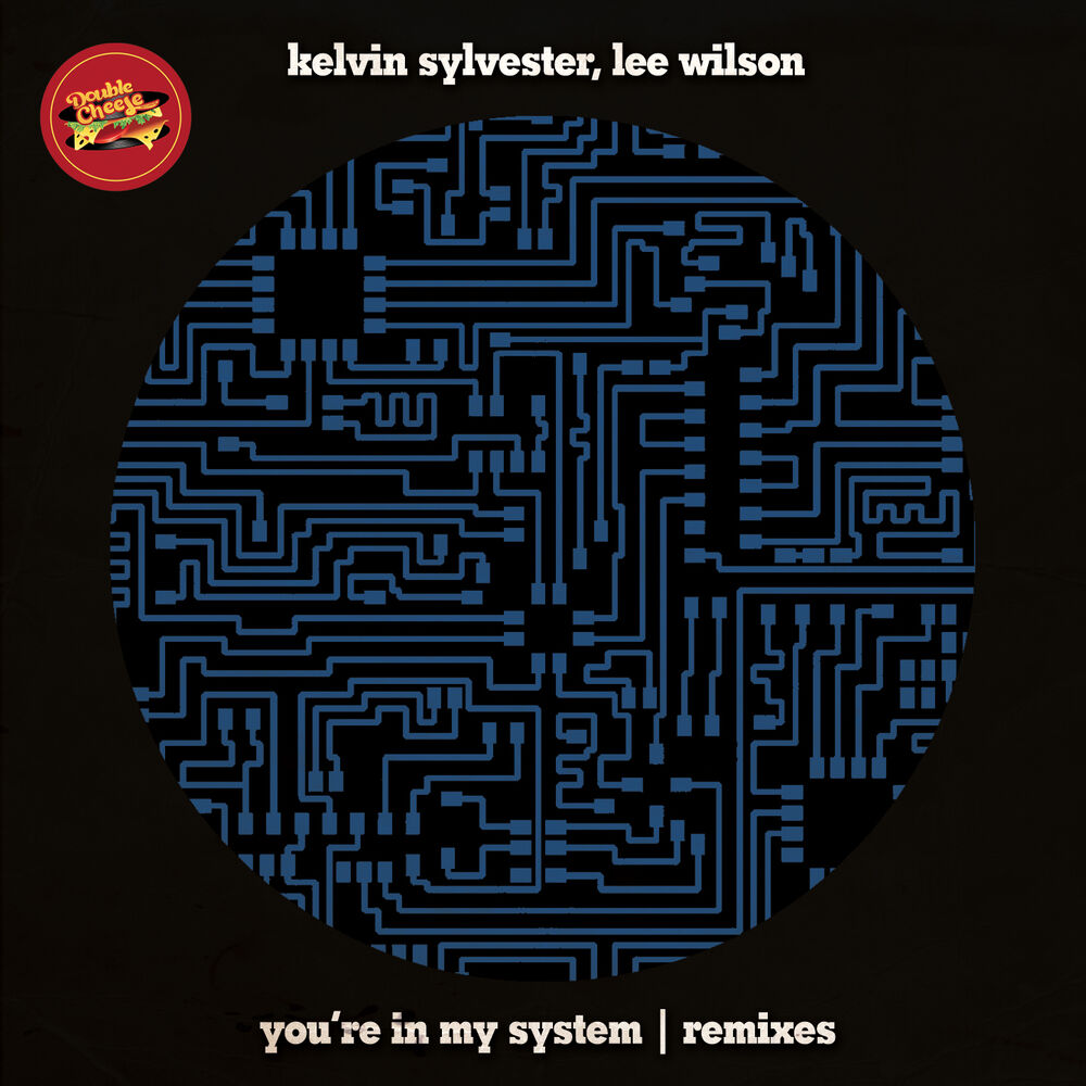 Picture of You're In My System (Remixes)