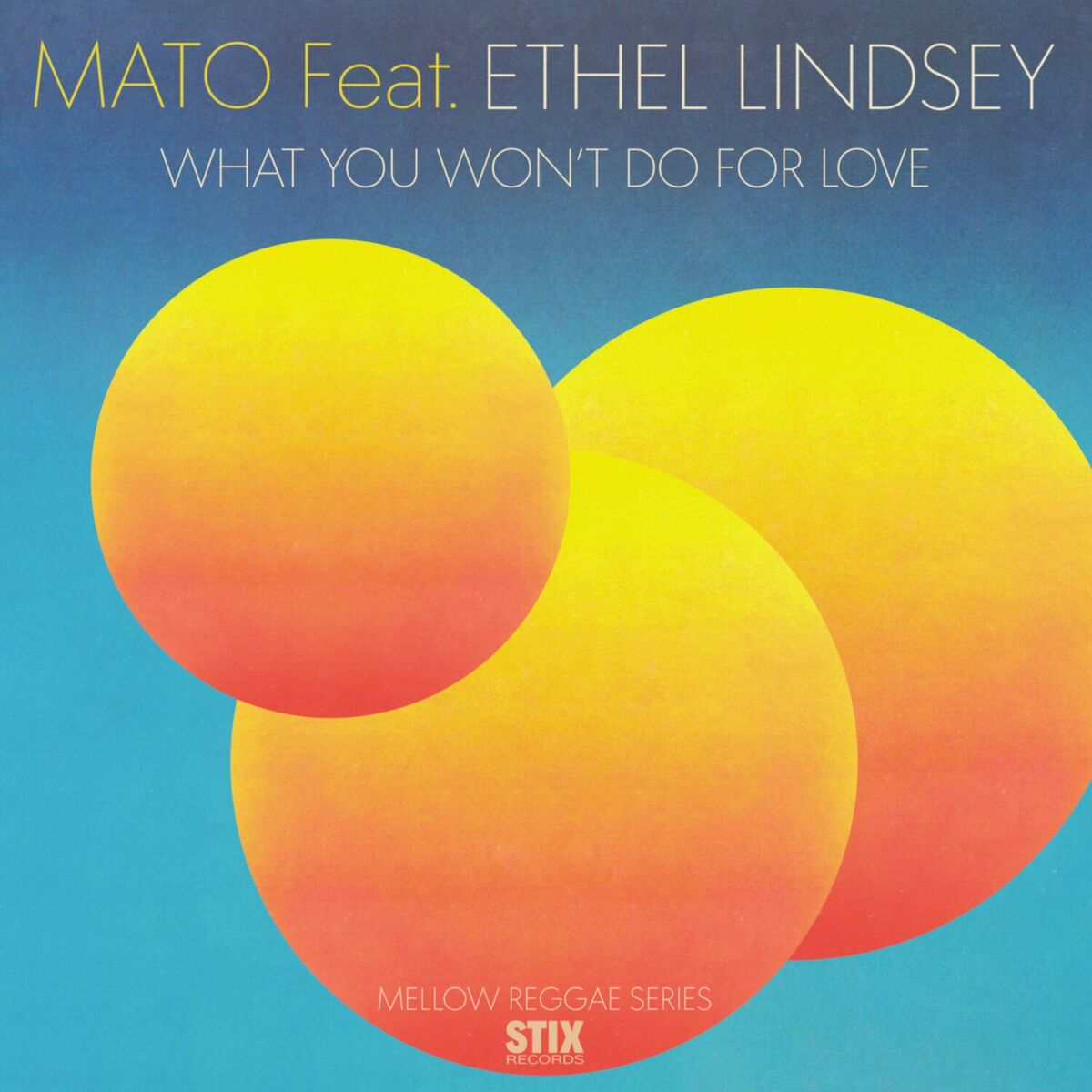 Album cover of What You Won't Do For Love