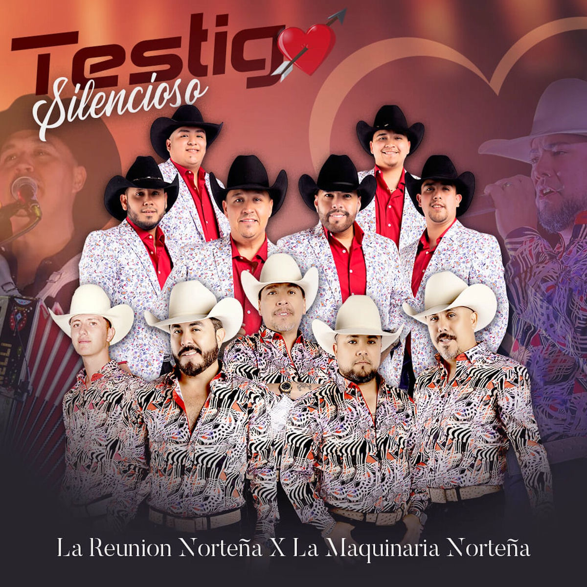 Album cover of Testigo Silencioso