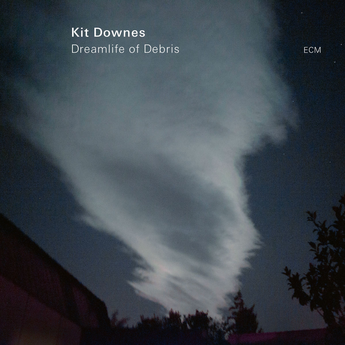 Album cover of Dreamlife Of Debris