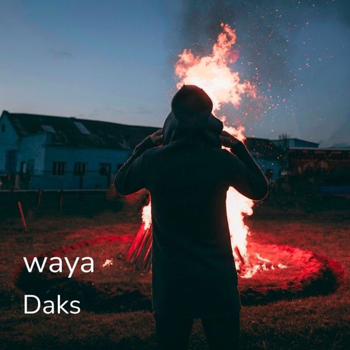 Album cover of Waya