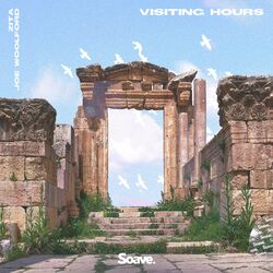 Cover of Visiting Hours