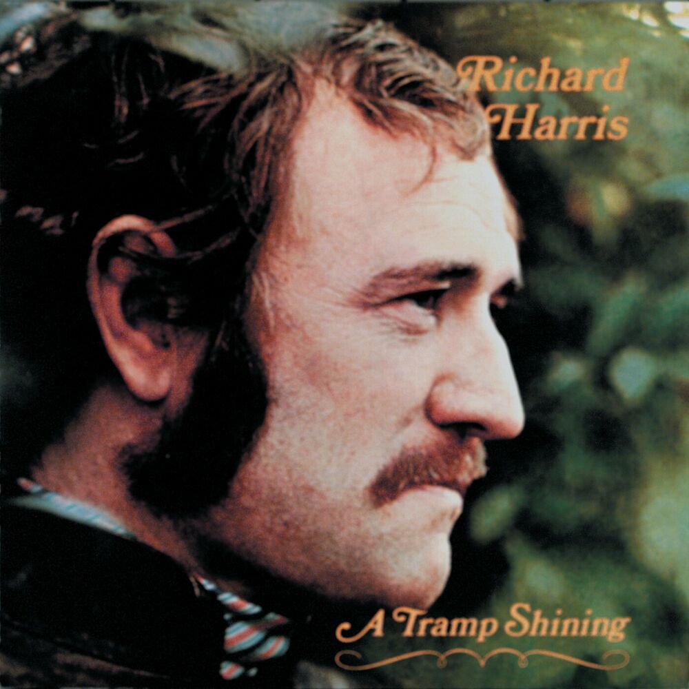 Picture of A Tramp Shining