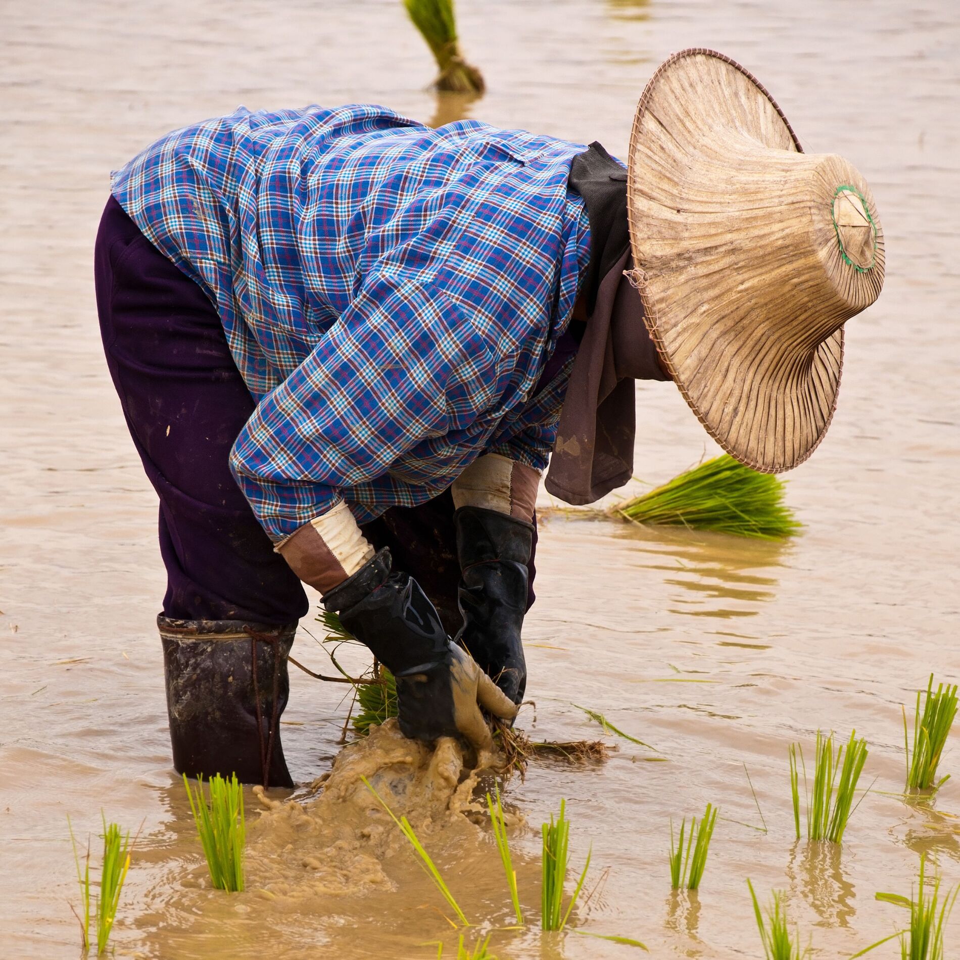 Album cover of Rainy Rhythms: Ambient Music for Productive Workdays