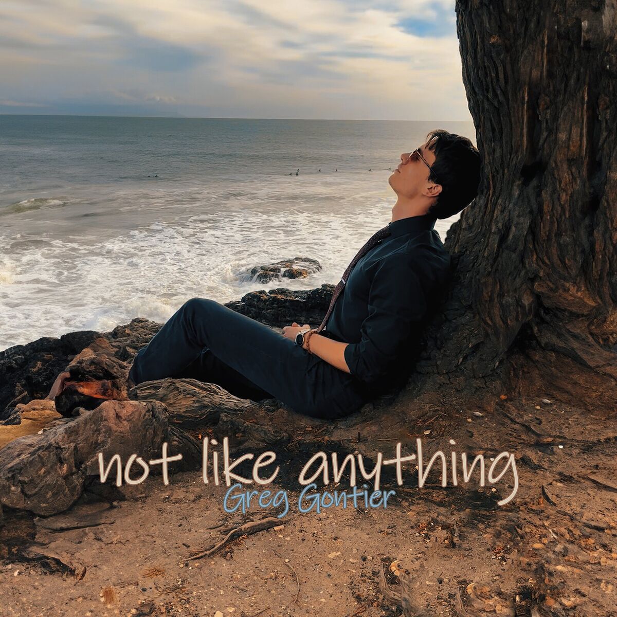 Album cover of Not Like Anything