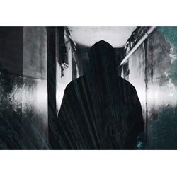 Cover of Idle thoughts