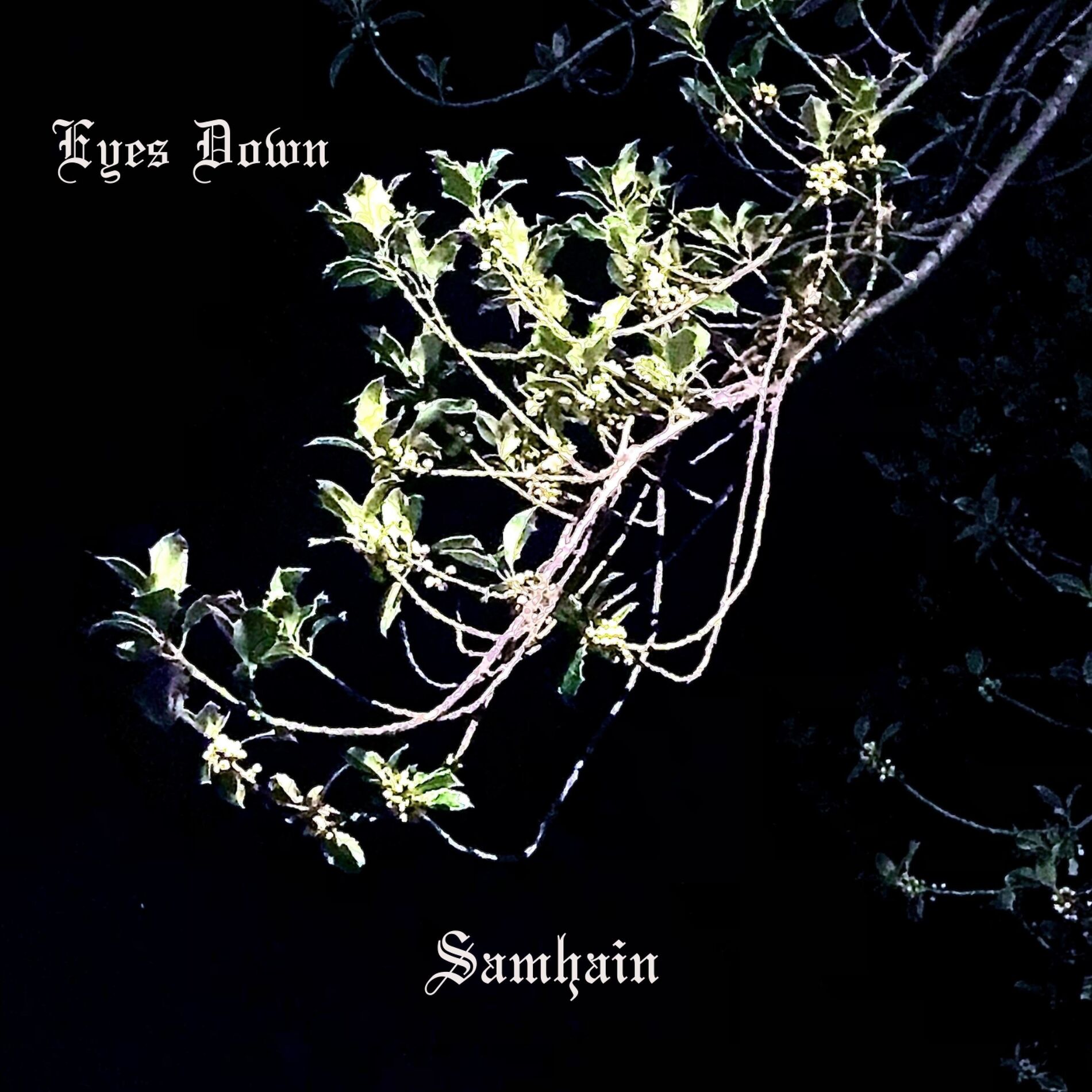 Album cover of Samhain