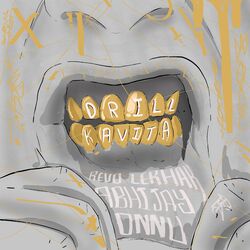 Cover of Drill Kavita