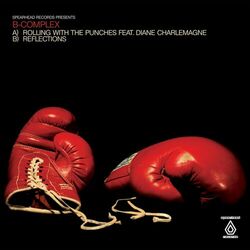 Cover of Rolling with the Punches / Reflections