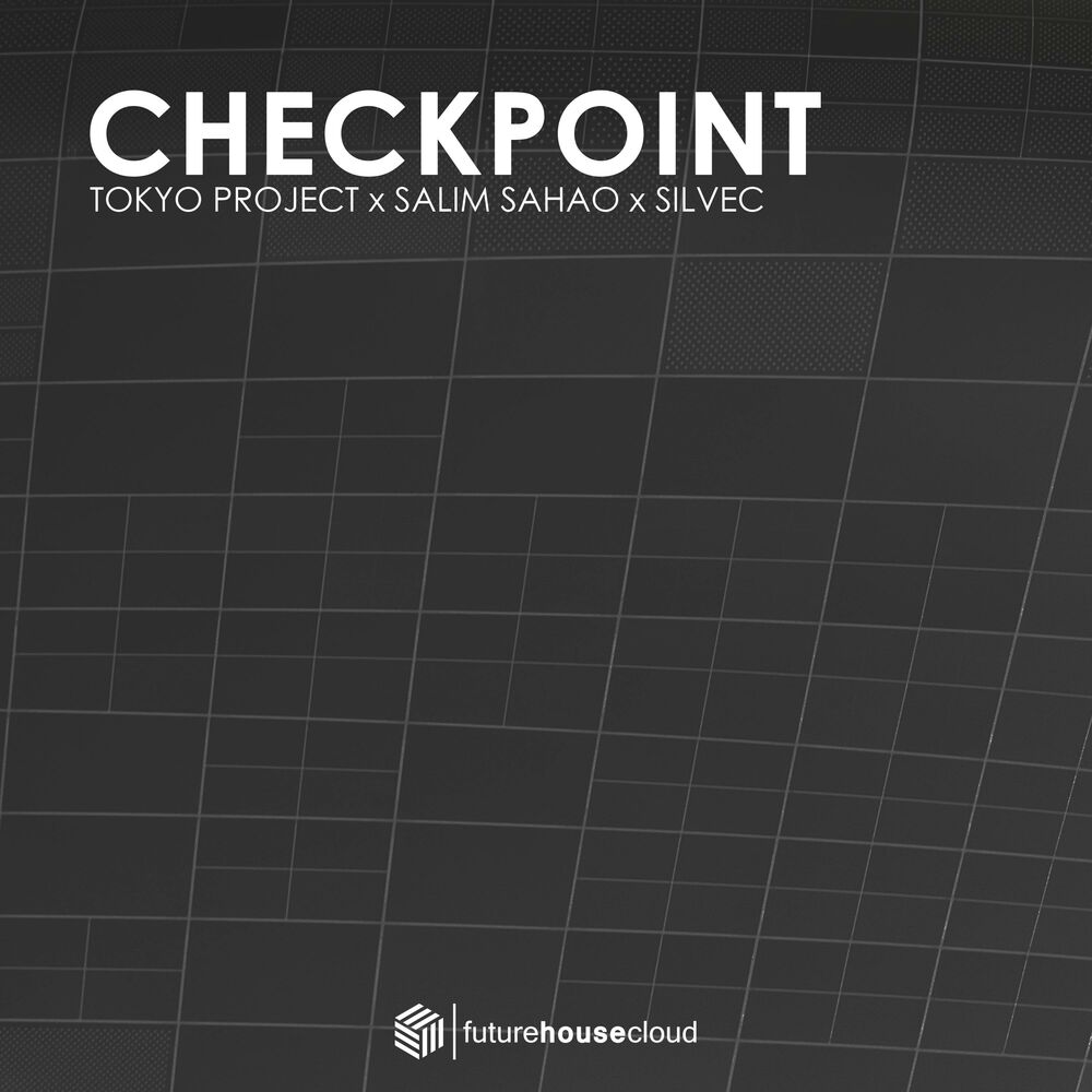 Picture of Checkpoint
