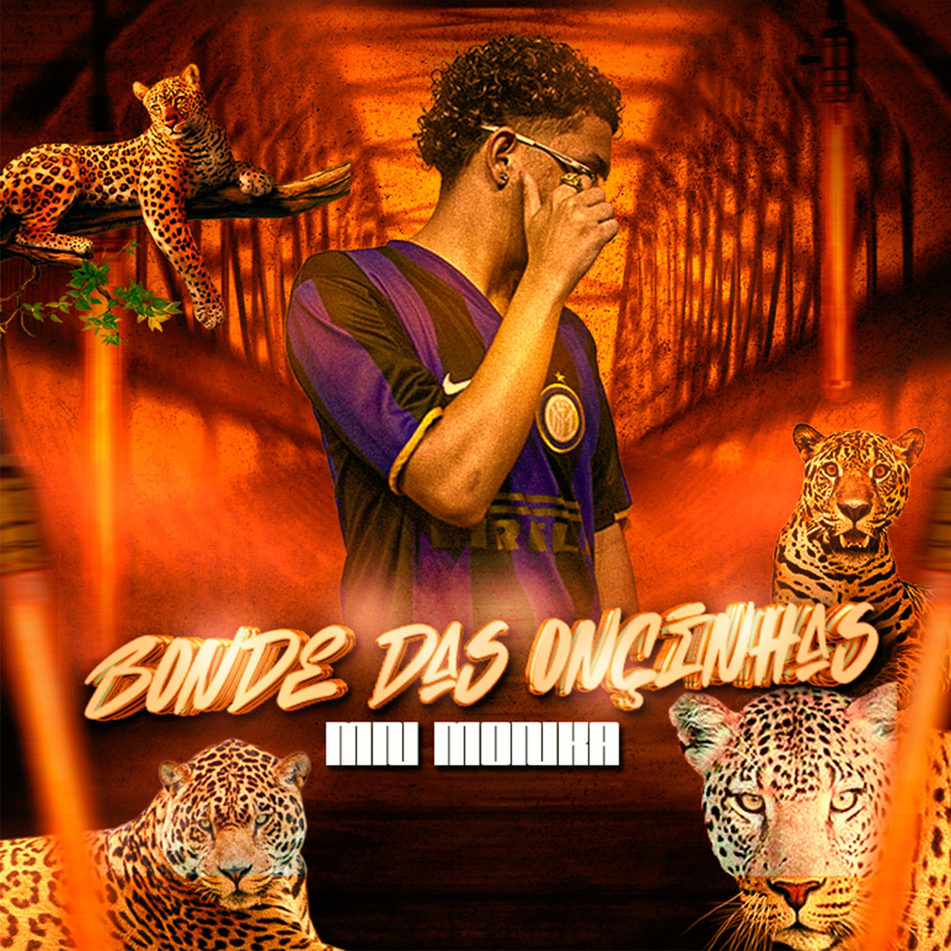 Album cover of Bonde das Onçinhas