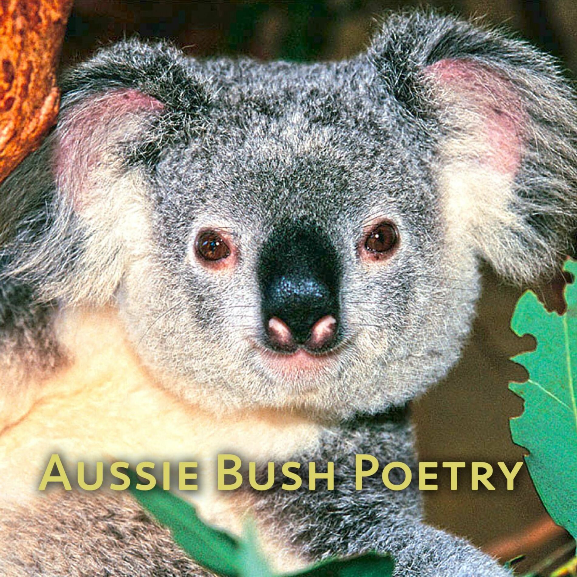 Album cover of Aussie Bush Poetry
