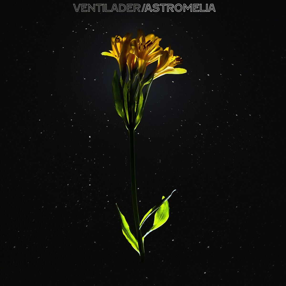 Album cover of Astromelia