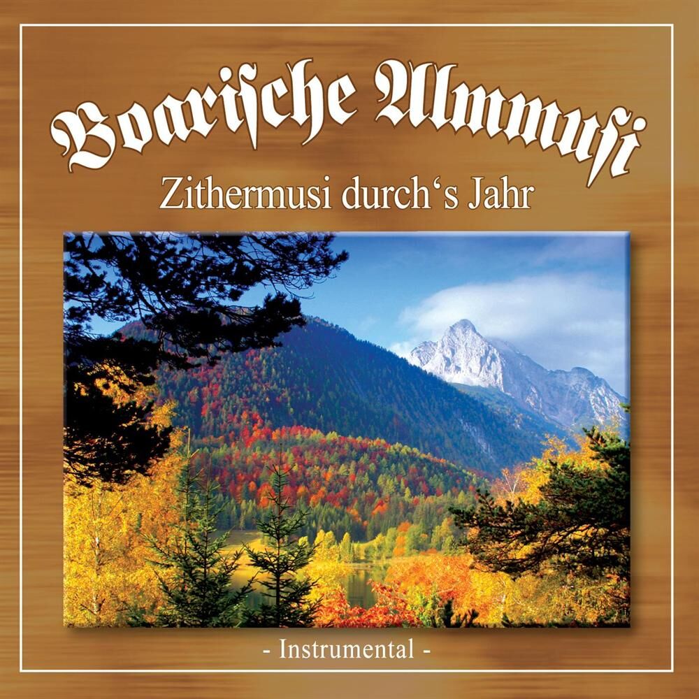 Picture of Zithermusi durch's Jahr