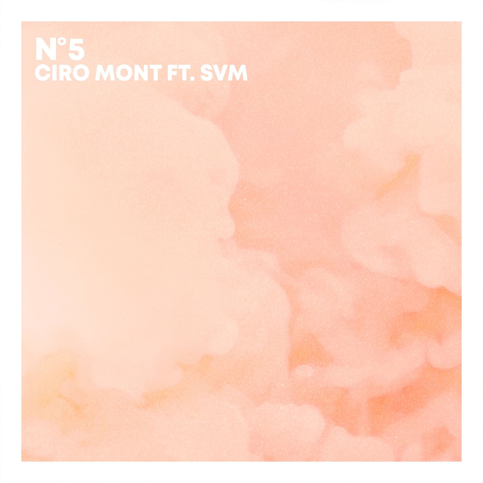 Album cover of N°5 (feat. SVM)