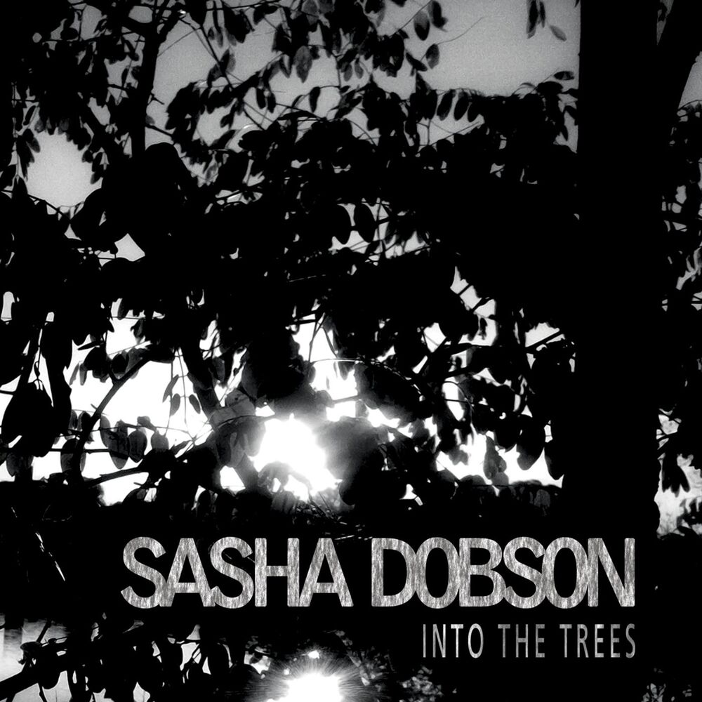 Picture of Into the Trees
