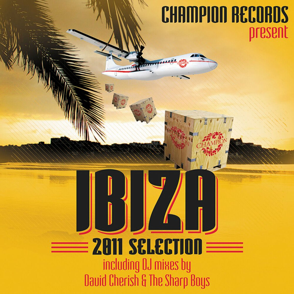 Album cover of Ibiza 2011 Selection