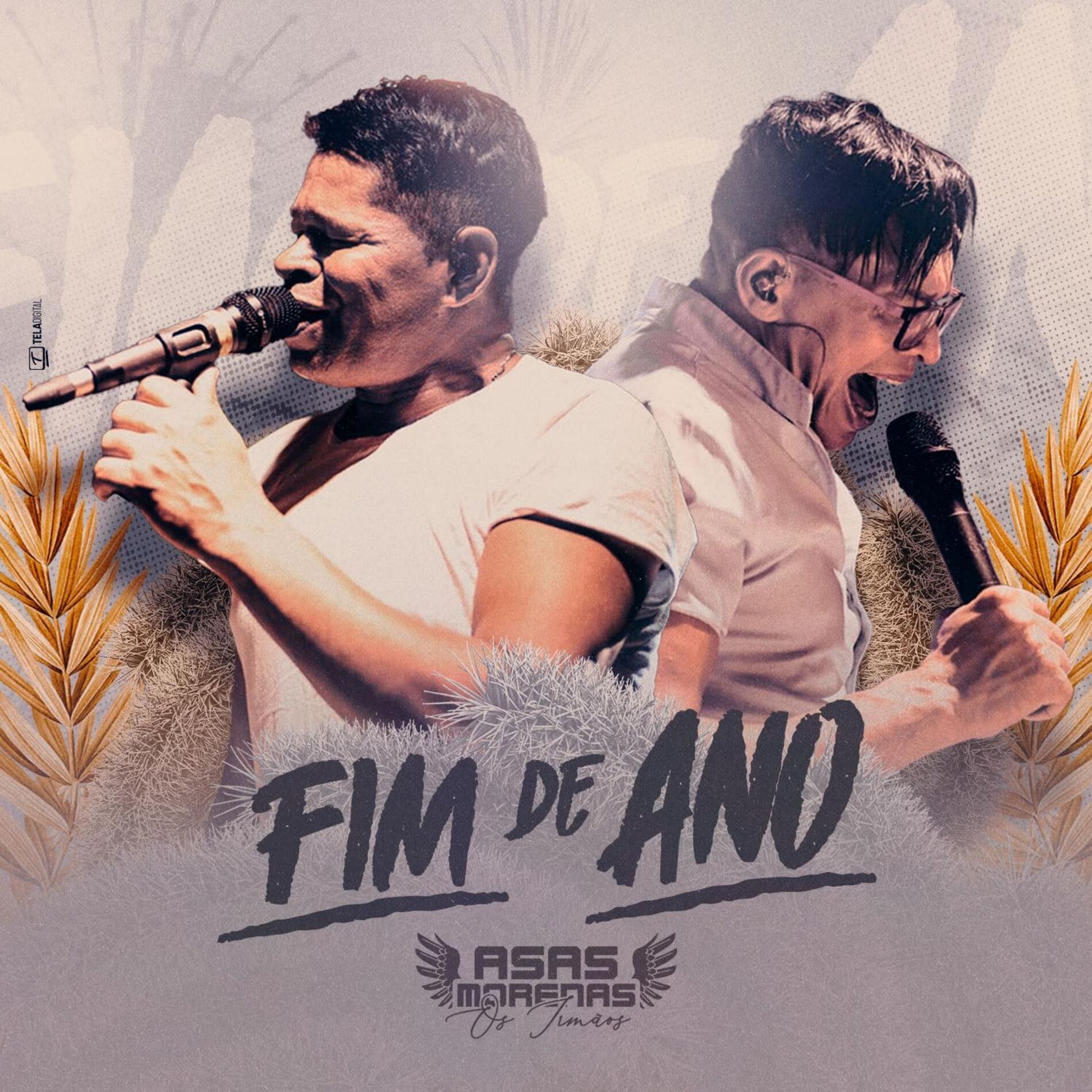 Album cover of Fim de Ano