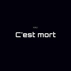 Cover of C'est mort